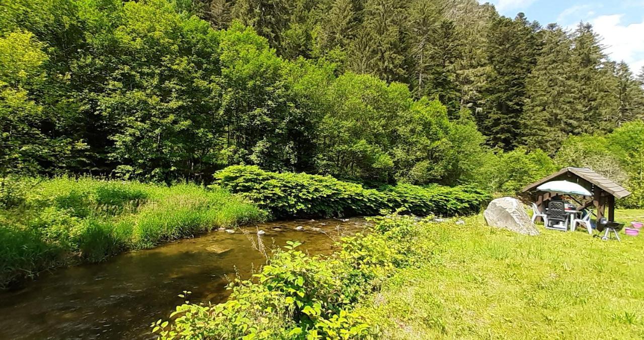 Apartamento La Perle Au Bord De La Riviere Gérardmer Exterior foto