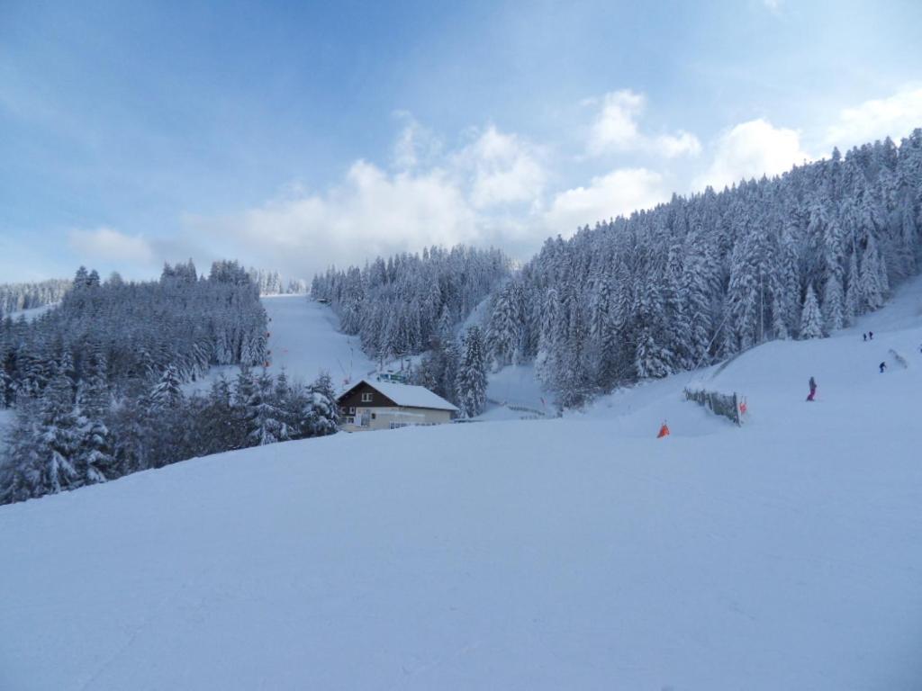 Apartamento La Perle Au Bord De La Riviere Gérardmer Exterior foto