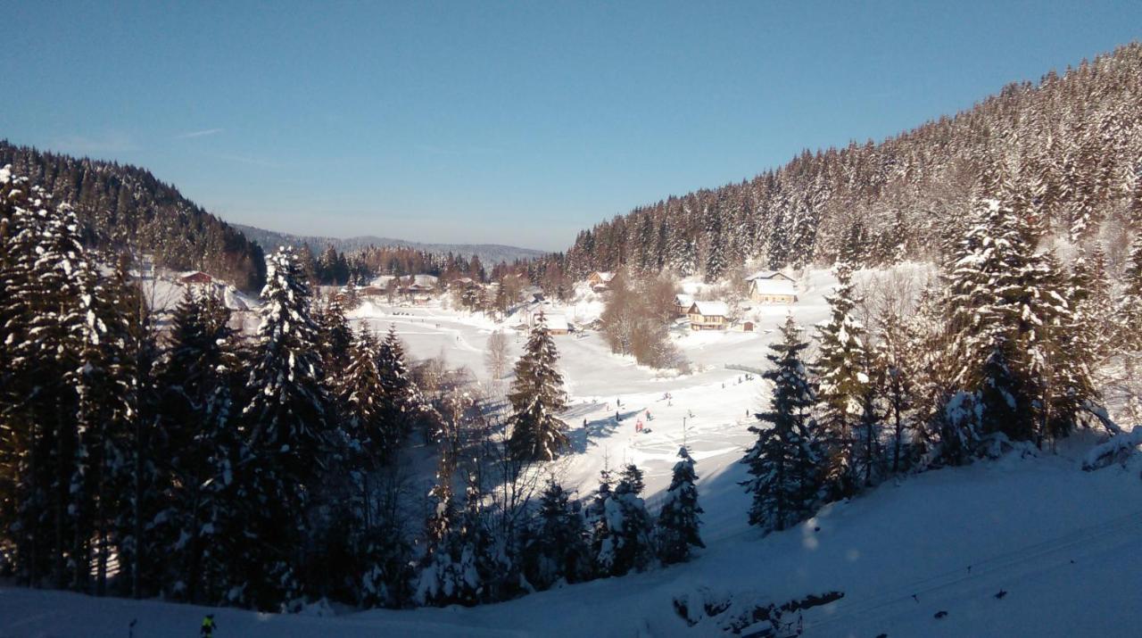 Apartamento La Perle Au Bord De La Riviere Gérardmer Exterior foto