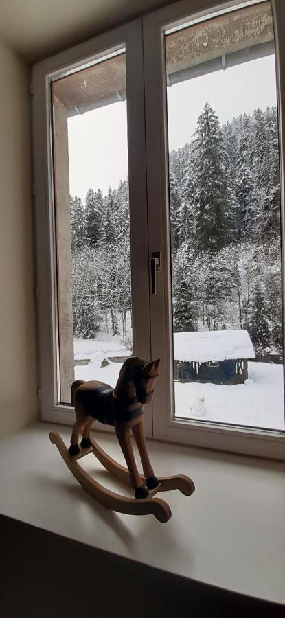 Apartamento La Perle Au Bord De La Riviere Gérardmer Exterior foto